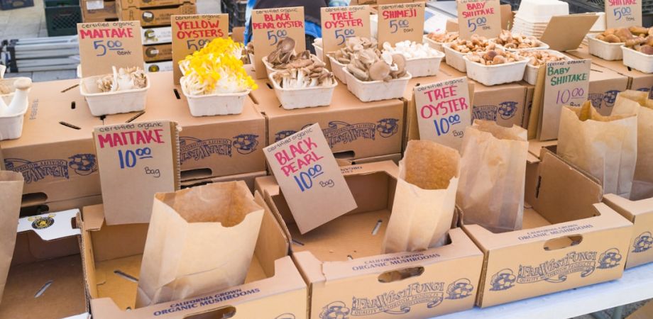 boca 5a3875 a6d38a16 Food & Drink