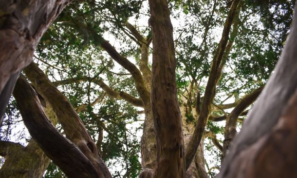 Special Weather Statement issued September 26 at 3:57PM EDT by NWS Miami FL