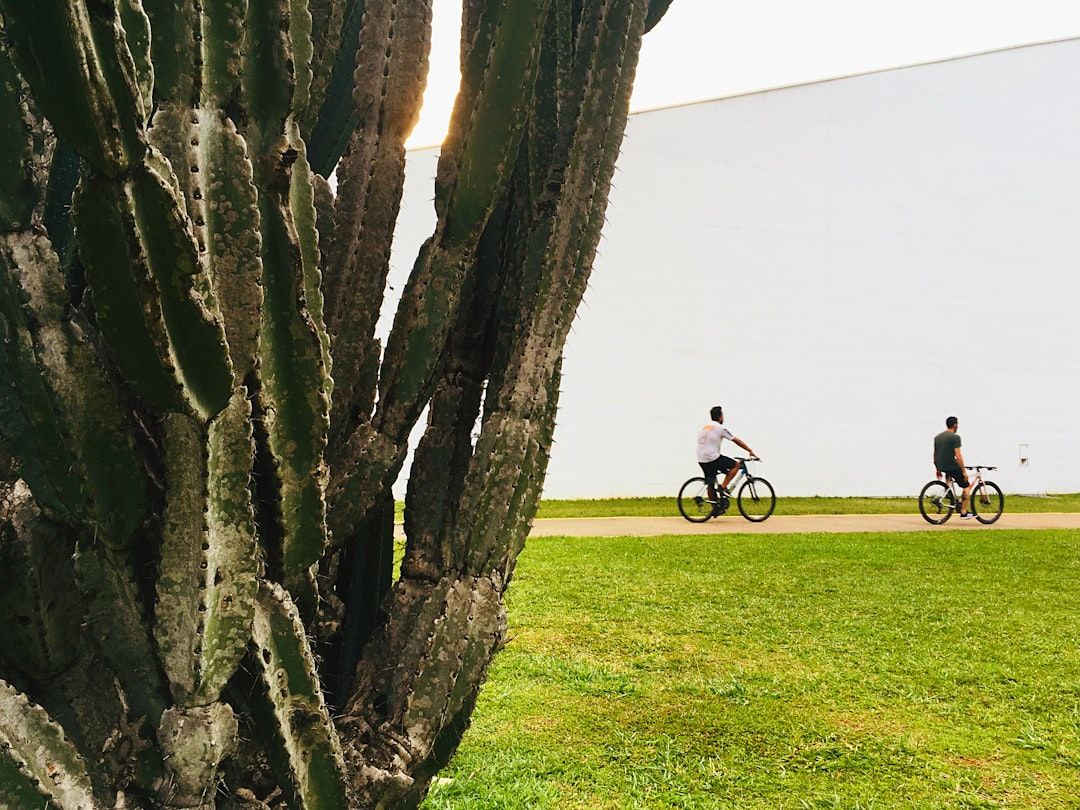 Boca Raton's Sugar Sand Park: Art in the Landscape