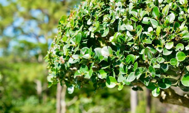 DELRAY BEACH CHURCH MINISTER ARRESTED ON CHILD SEX CHARGE