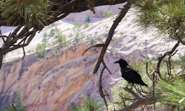 Hurricane Milton Tracks Slightly South, Intensifies; Some Evacuations in Palm Beach County