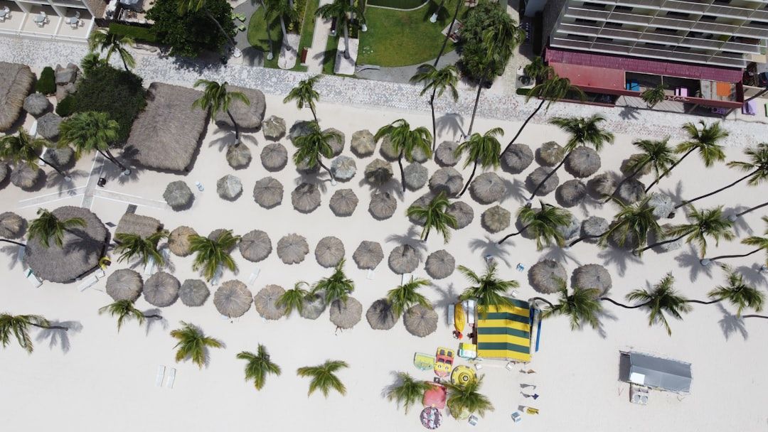 Boca Raton's Wildflower Park: Art in Bloom