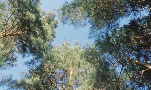 If You Have Breast Cancer, FAU Will Pay You For Exercise Study