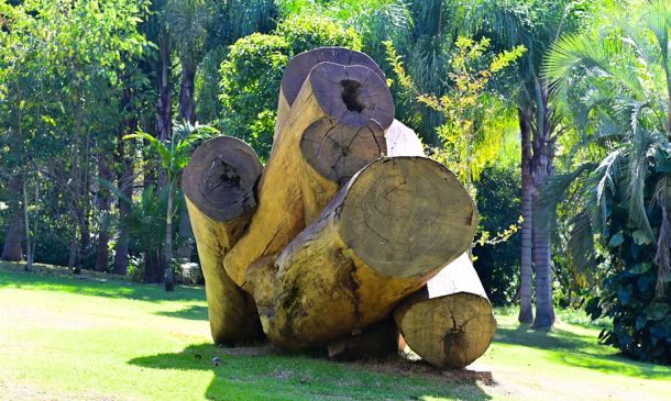 Boca Raton's Hidden Art Oasis: Wildflower Park
