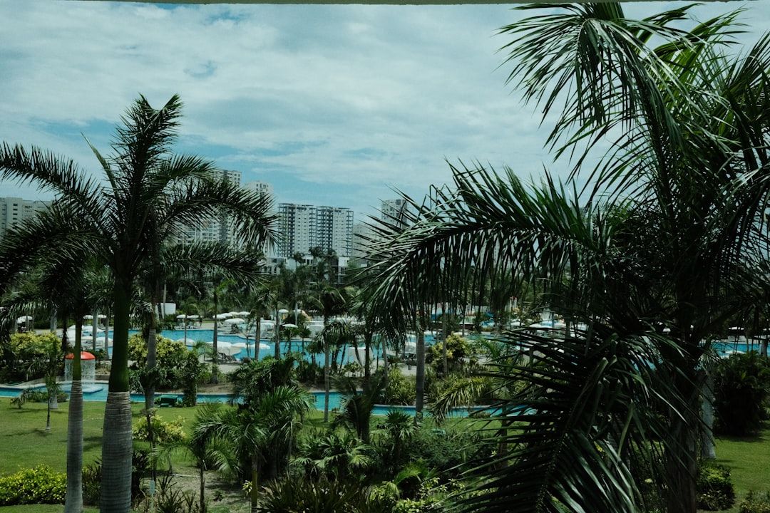 Boca Raton Father's Day: Brunch, Golf & More