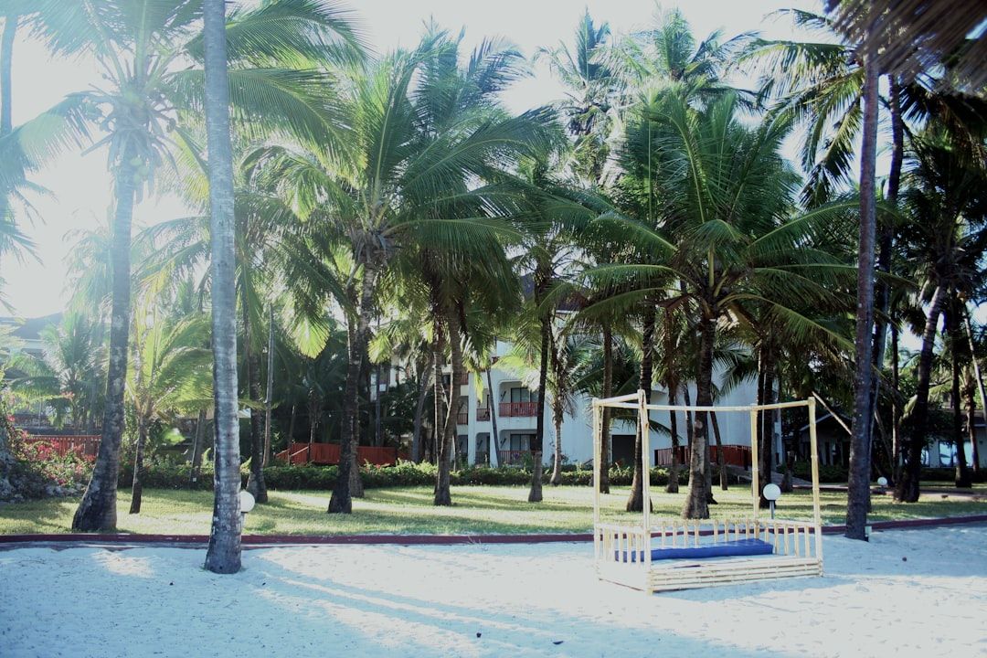 Boca Raton Volleyball Showdown