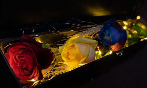 Boca Raton Roots: A Life Well-Lived