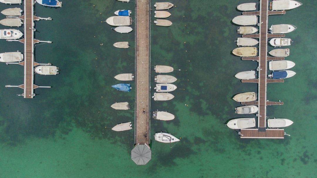 Boca Bash 2025: A Celebration on the Horizon