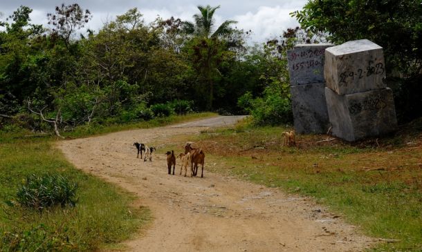 Boca Mom Charged With Letting Son Run Drug Operation From Shed
