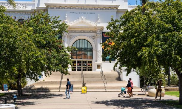 Boca Raton Scholars Awarded Prestigious FAU Grants