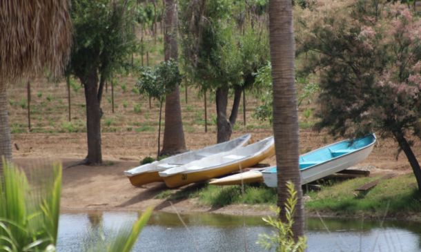 Boca Raton Plane Crash: Updates & Investigation