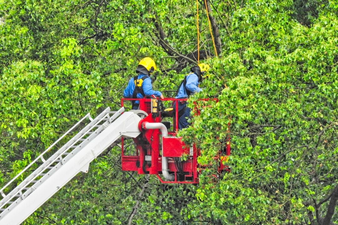 Boca Raton Plane Crash: Eyewitness Describes Inferno