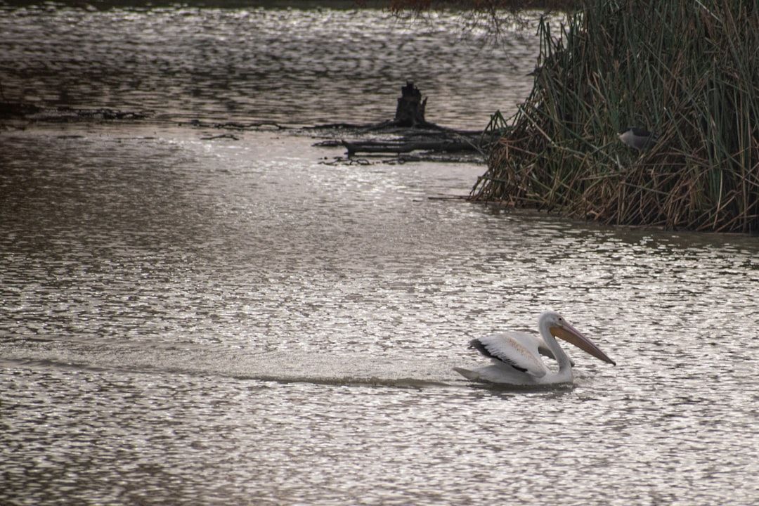Boca Raton Flood Warning: Heavy Rain Today