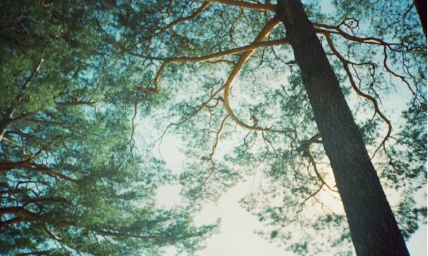 Intracoatsal Bridges in Delray Beach, Boynton Beach to Remain in Open Position Friday Night for Boat Parade