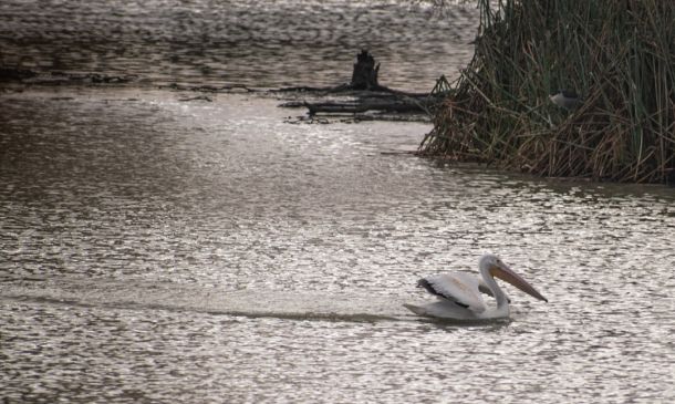 Boca Raton Flood Warning: Heavy Rain Today