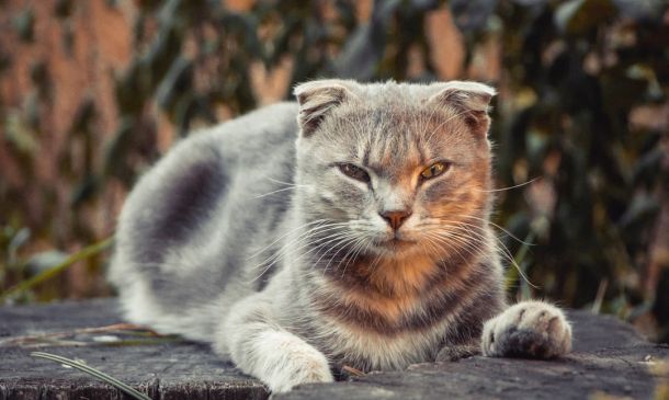 Suspect Arrested Hours After Boynton Beach Slaying