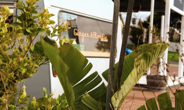 Boca's Best Guac: A National Holiday Celebration