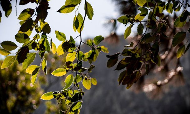 Boca Raton Man, 59, Charged in Hit-and-Run Accident on Palmetto Park Road