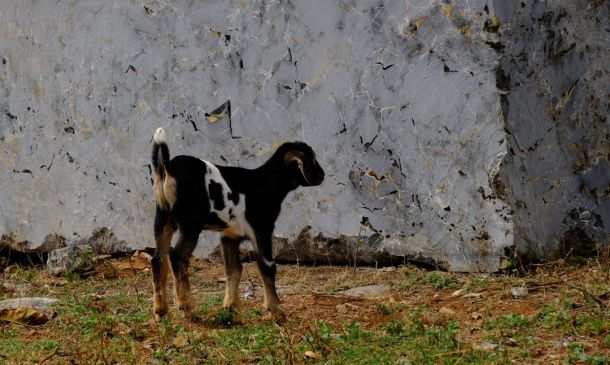 Boca Raton Woman Charged With DUI, Driving on Wrong Side of Dixie Highway