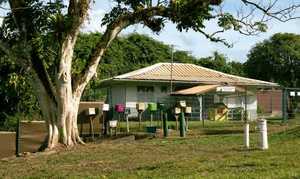 Boca Raton's New Affordable Home Care