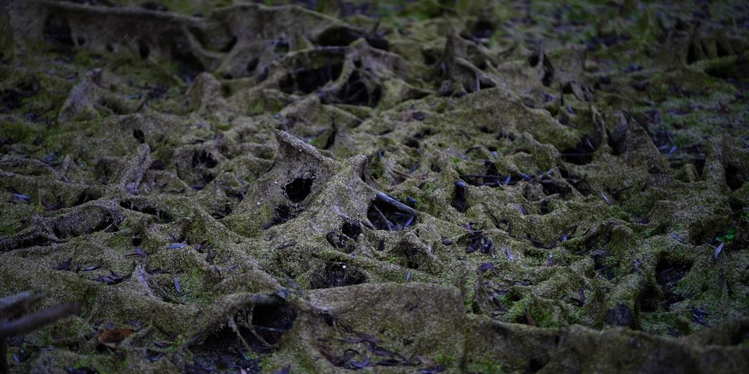Artificial Islands of ‘Bonefish Cove’ in ICW Taking Shape, Completion Expected Next Winter