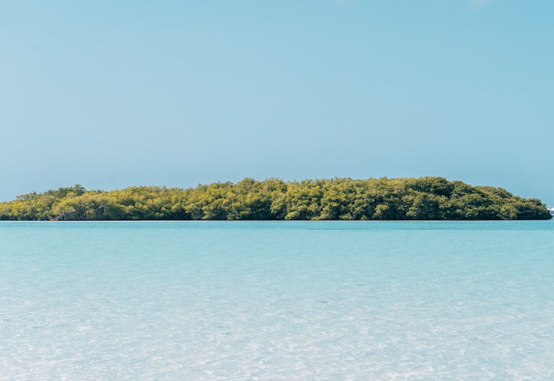 Boca Raton Council Upholds $13K Fine for Home Kept in Derelict Condition