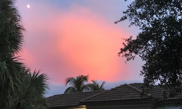 Florida’s First Purpose-Built Pickleball Complex Gains Final Approval in Boca Raton