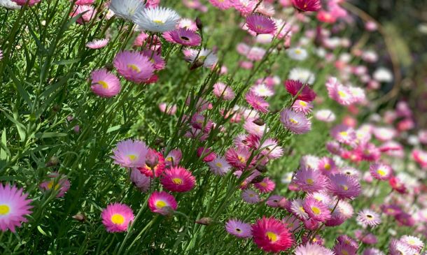 Kings Point Delray Beach Sued Over Treadmill Incident