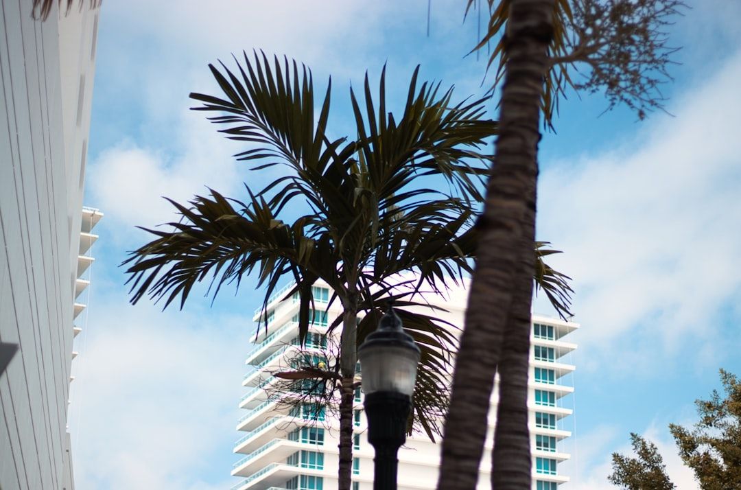 Boca Raton Vigil Draws Hundreds to FAU
