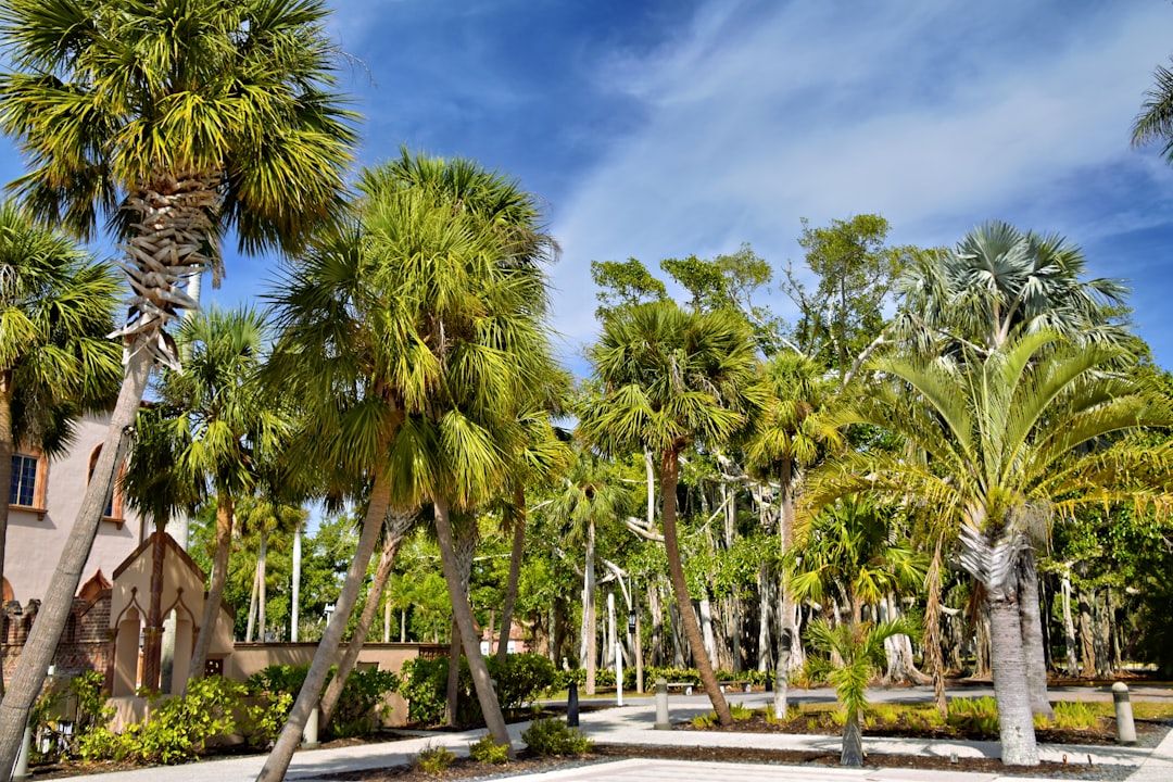 Yamato Road: Boca Raton's Japanese Legacy