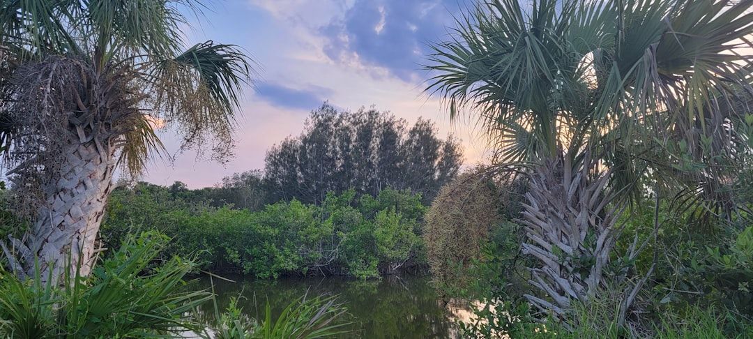 Perfect Sunday in Boca Raton