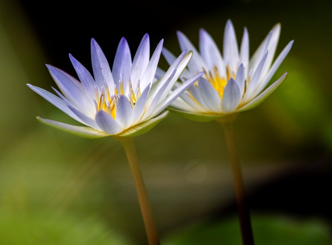 Two Arrested After Altercation at Boca Raton Hotel