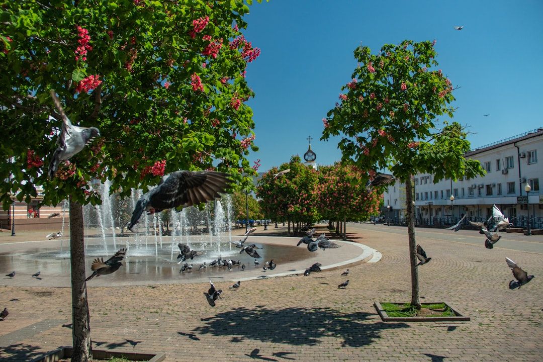 Boca Raton's Artistic Oasis: Sugar Sand Park