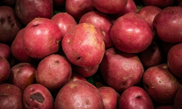 Boca Raton's Newest Grocery: Organic & Accessible