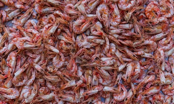 Boca's Best Fried Rice: National Day Feast!