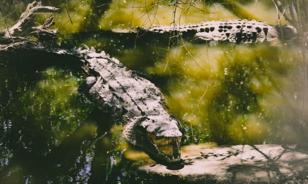 Boca Raton OK’s Partial Demolition of Office Depot HQ, Conversion to Mixed-Use Complex