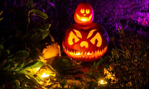 Boca's Boo-Ca-Boo: Family Halloween Fun