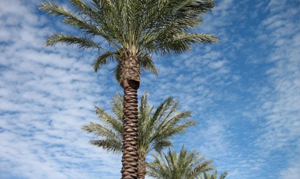 FLORIDA TURNPIKE: Stay Off Of Turnpike This Morning, Several Crashes