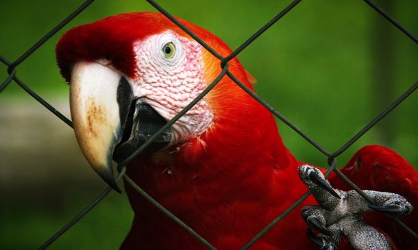Boca Raton Zoo Gets Life-Saving Donation
