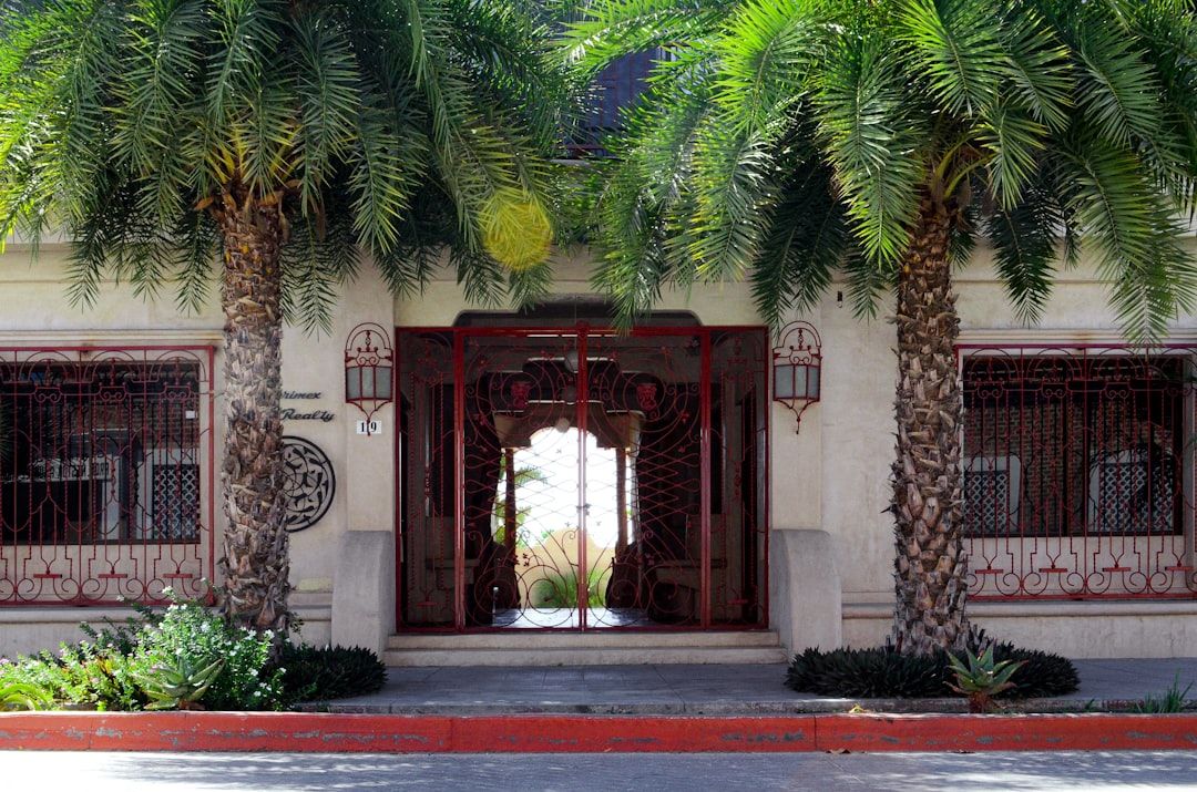 $20M Boca Raton Mansion: A Rental Paradise