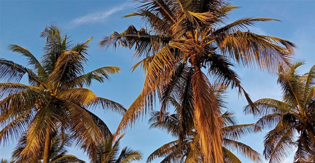 Beyond Boca: Beach & Water Adventures Nearby