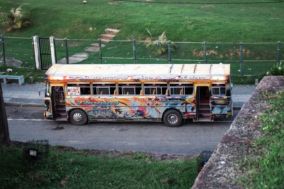 Boca Raton's Hidden Gems: A Trolley Tour Adventure