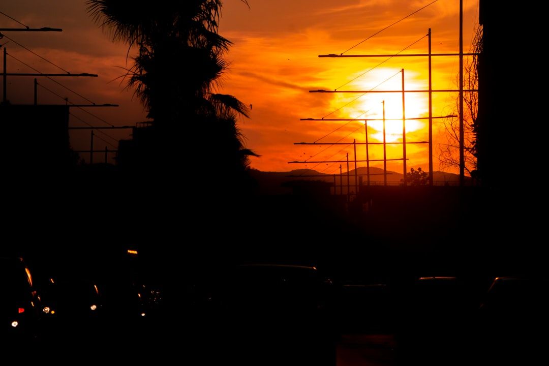 Boca Raton's Resilience: Facing Adversity, Finding Strength