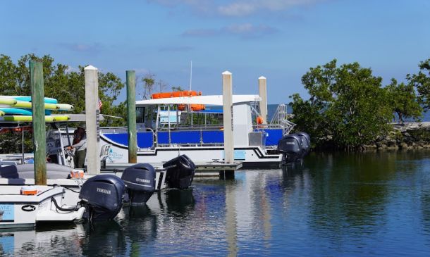 Boca Raton's Coastal Steward Closes: What's Next?