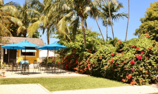 Luxury Living Opens in Boca Raton