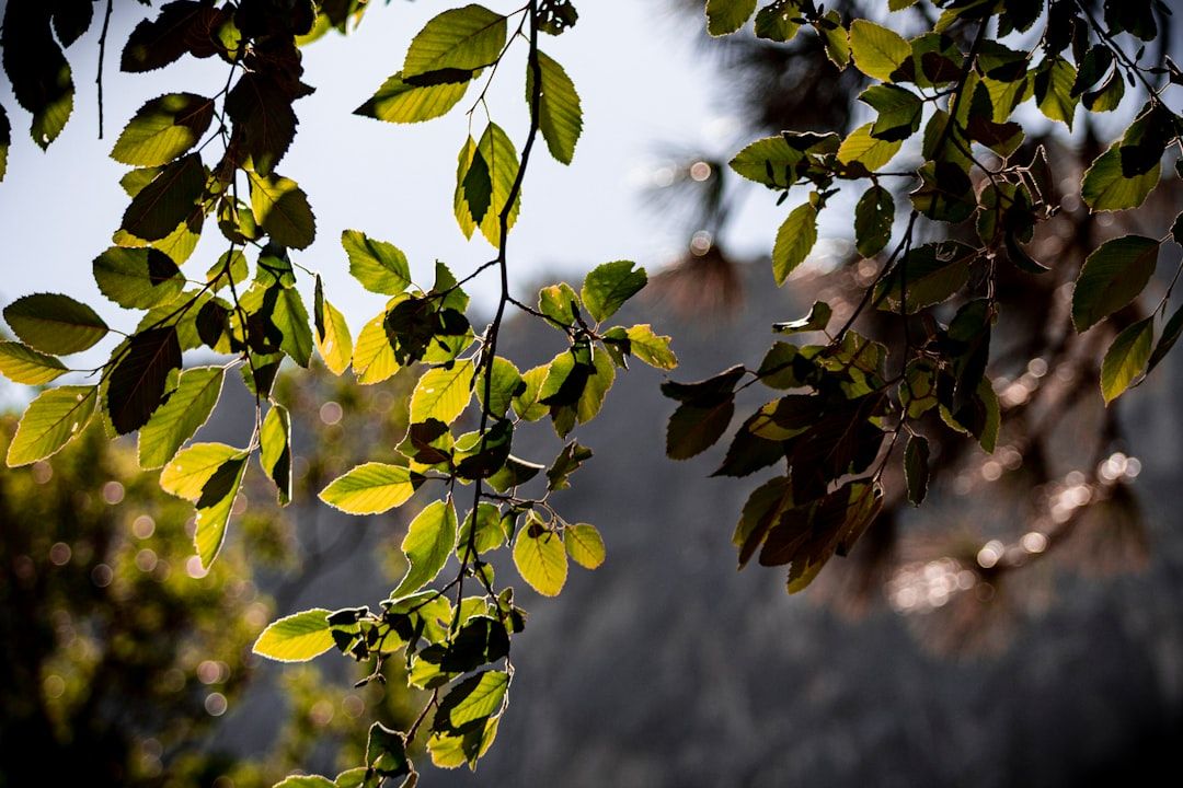 Boca Raton Man, 59, Charged in Hit-and-Run Accident on Palmetto Park Road