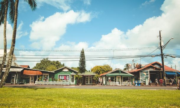 Second FAU Professor on Leave for Online Posts