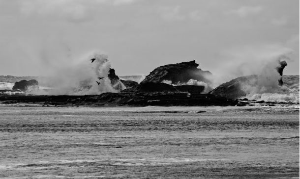 Boca Raton Plane Crash: Eyewitness & Aftermath