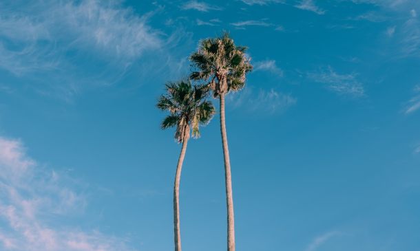 Palm Beach County Fire Rescue Says Burning House Down Cooking Turkey Is Bad