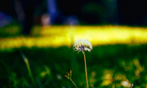 Boca Raton FBI Raid: Biker Gang Shooting Link